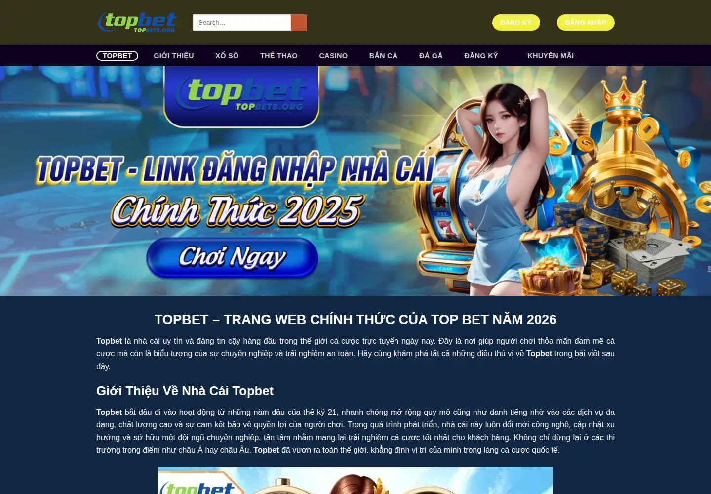 Screenshot of topbet8.org