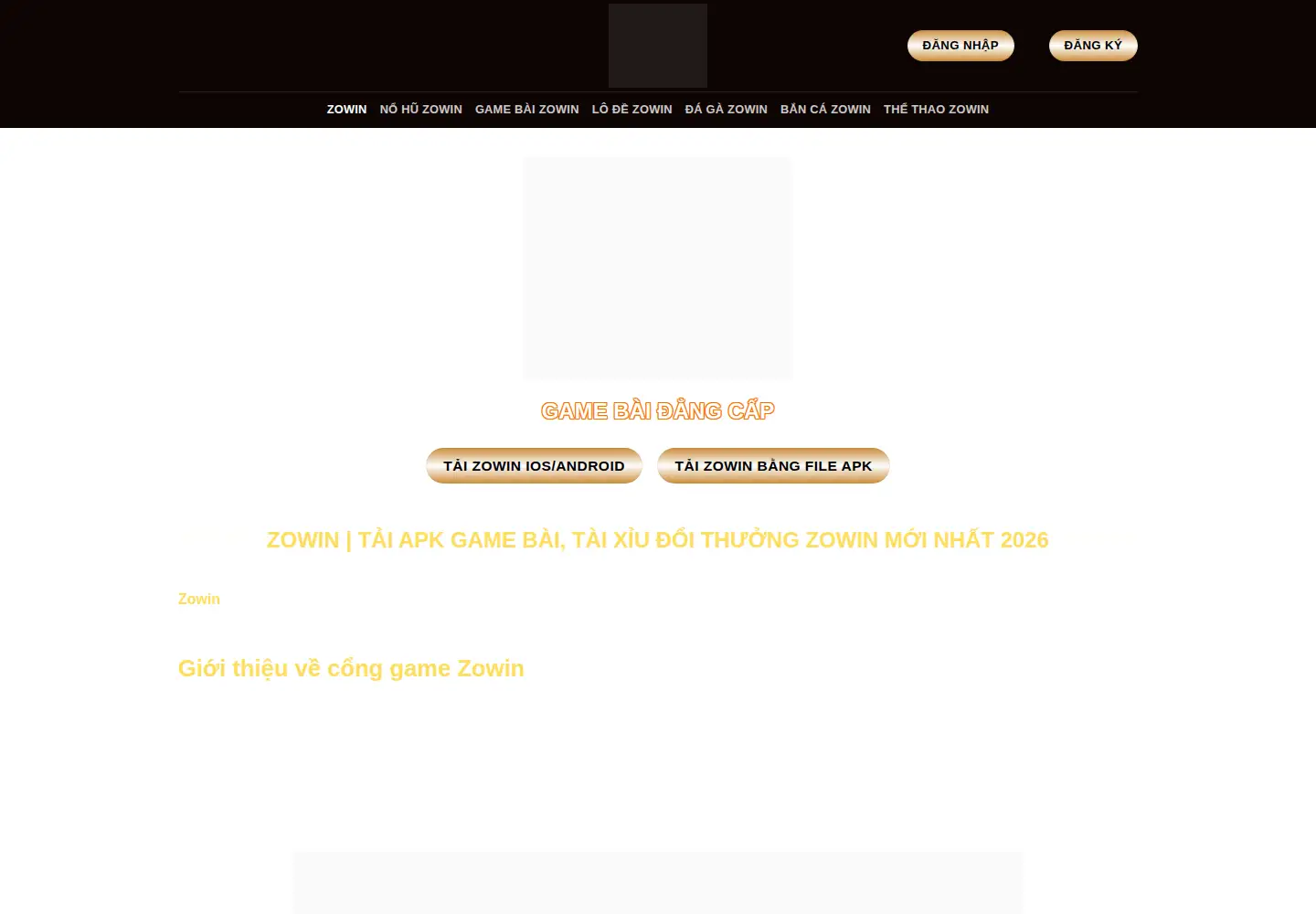 Captured homepage of zowin.channel in the current scan