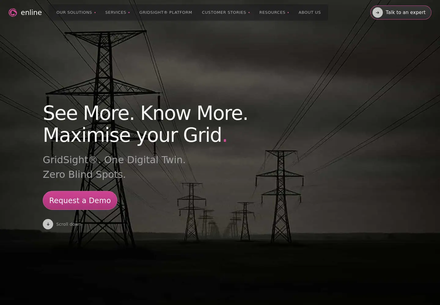 Captured homepage of enline.energy in the current scan