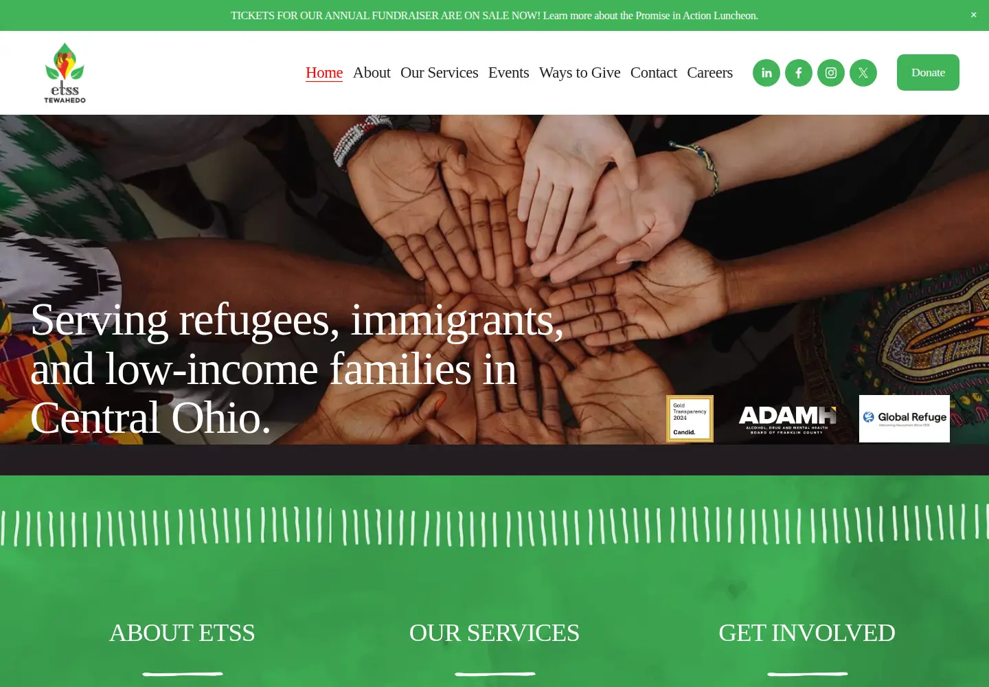 Captured homepage of ethiotss.org in the current scan