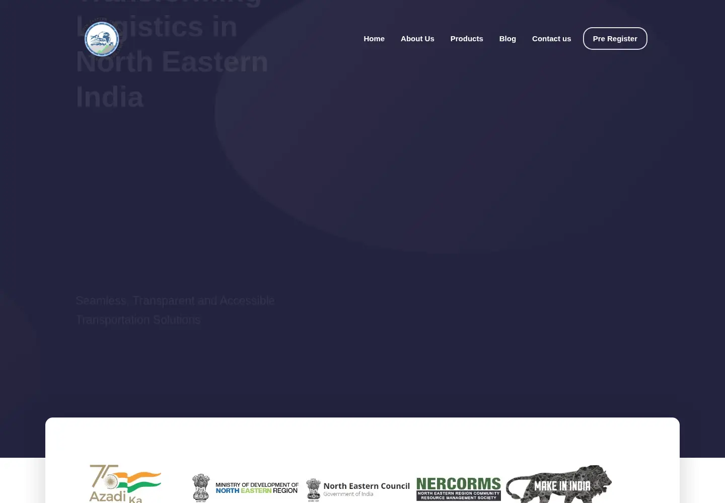 Captured homepage of netmos.in in the current scan