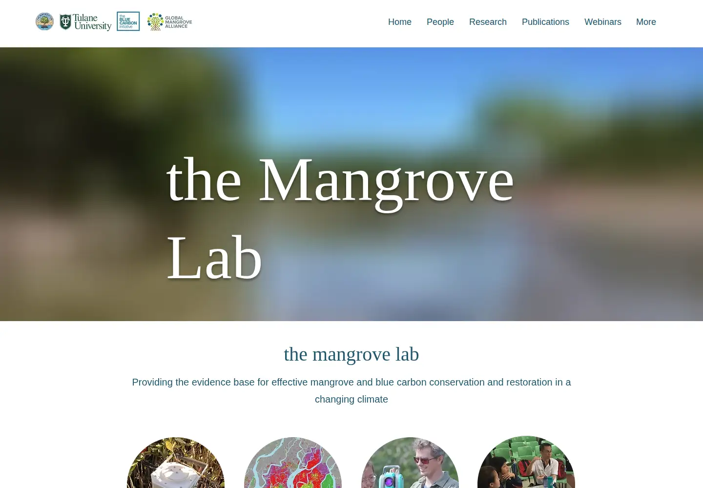 Captured homepage of themangrovelab.com in the current scan