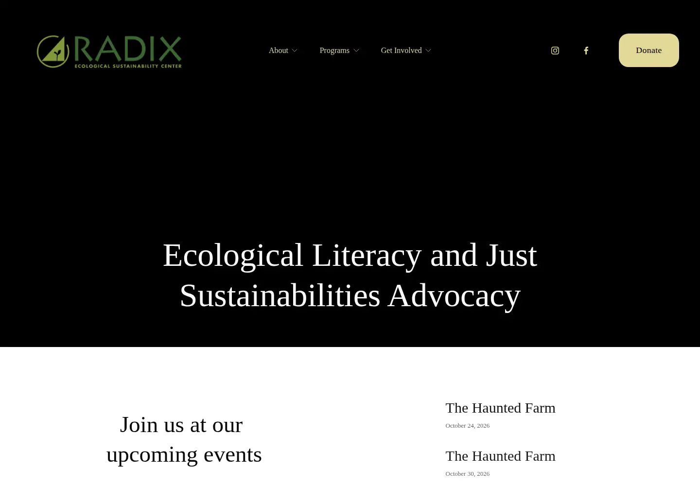 Captured homepage of radixcenter.org in the current scan