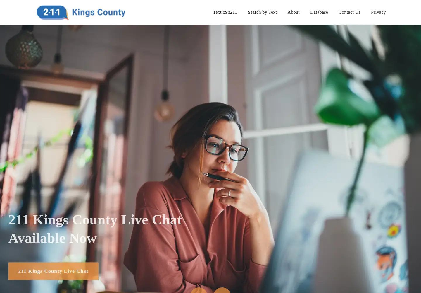 Captured homepage of 211kingscounty.org in the current scan
