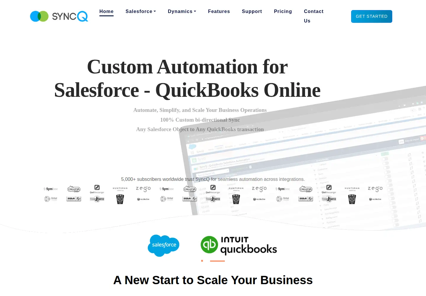 Captured homepage of syncq.net in the current scan