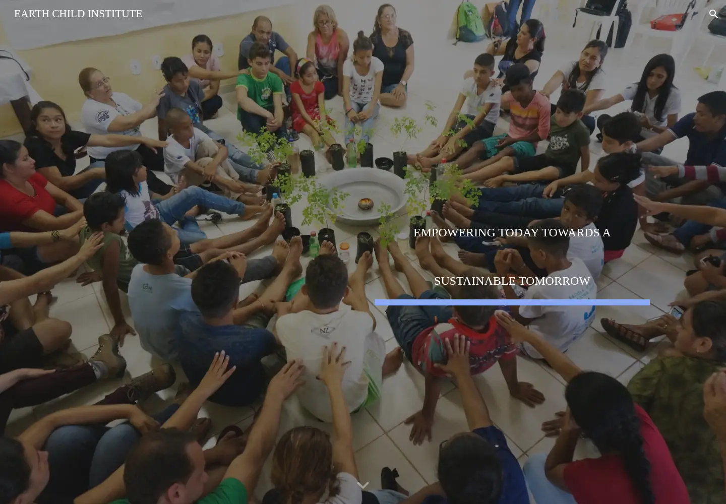 Captured homepage of earthchildinstitute.org in the current scan