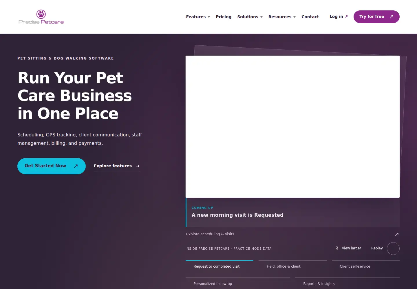 Captured homepage of precisepetcare.com in the current scan