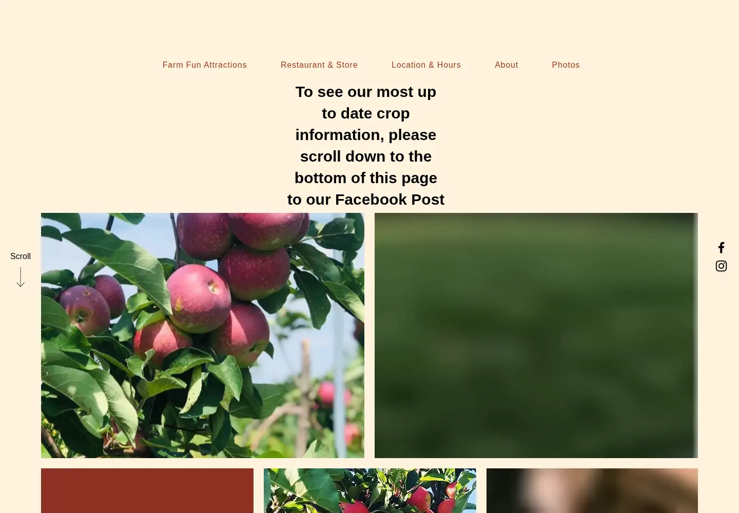 Captured homepage of applehills.com in the current scan
