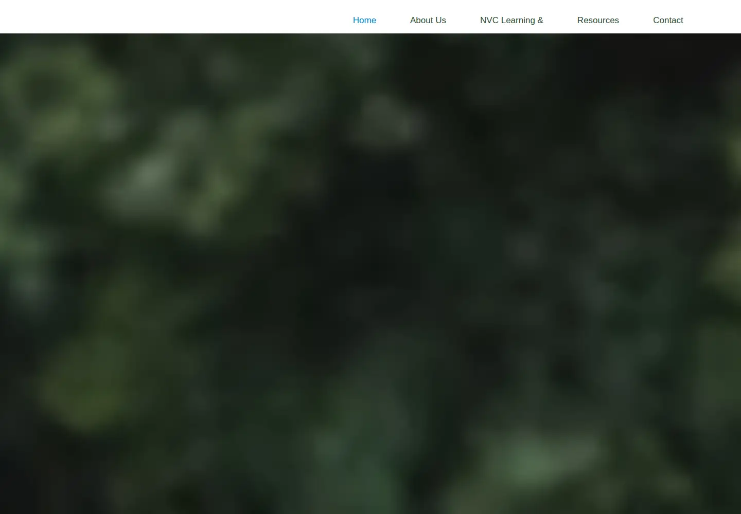 Screenshot of capitalnvc.org