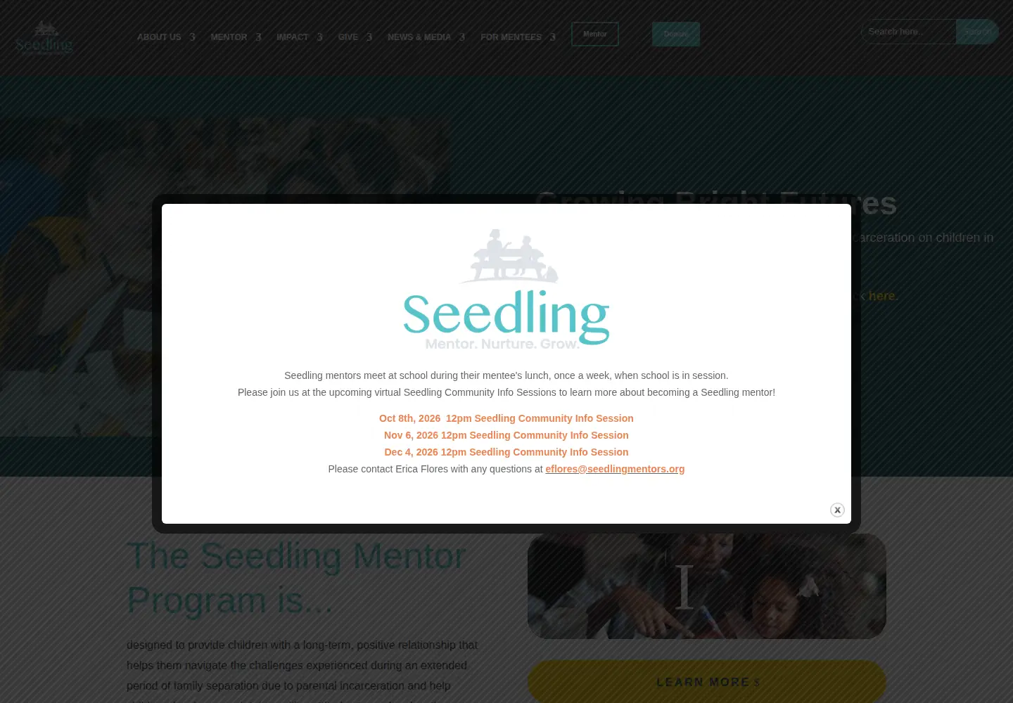 Screenshot of seedlingmentors.org