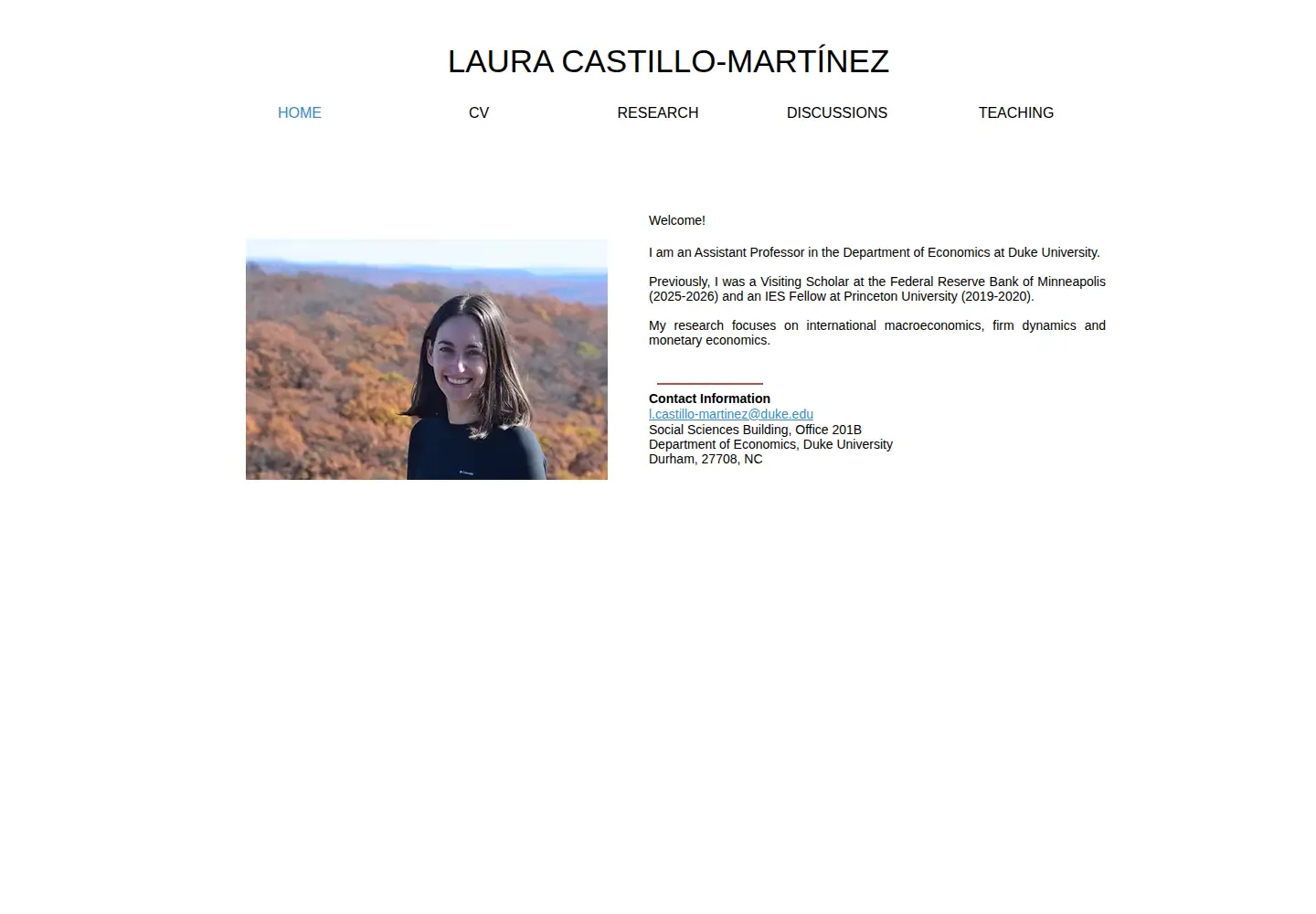 Captured homepage of lcastillo-martinez.com in the current scan