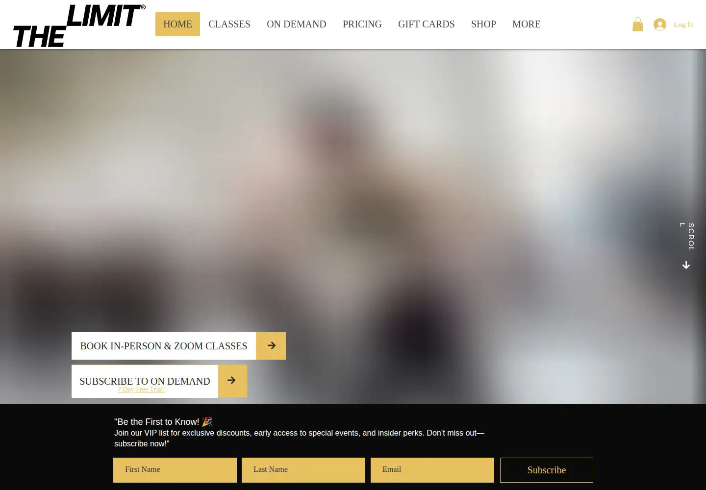 Screenshot of thelimitfit.com