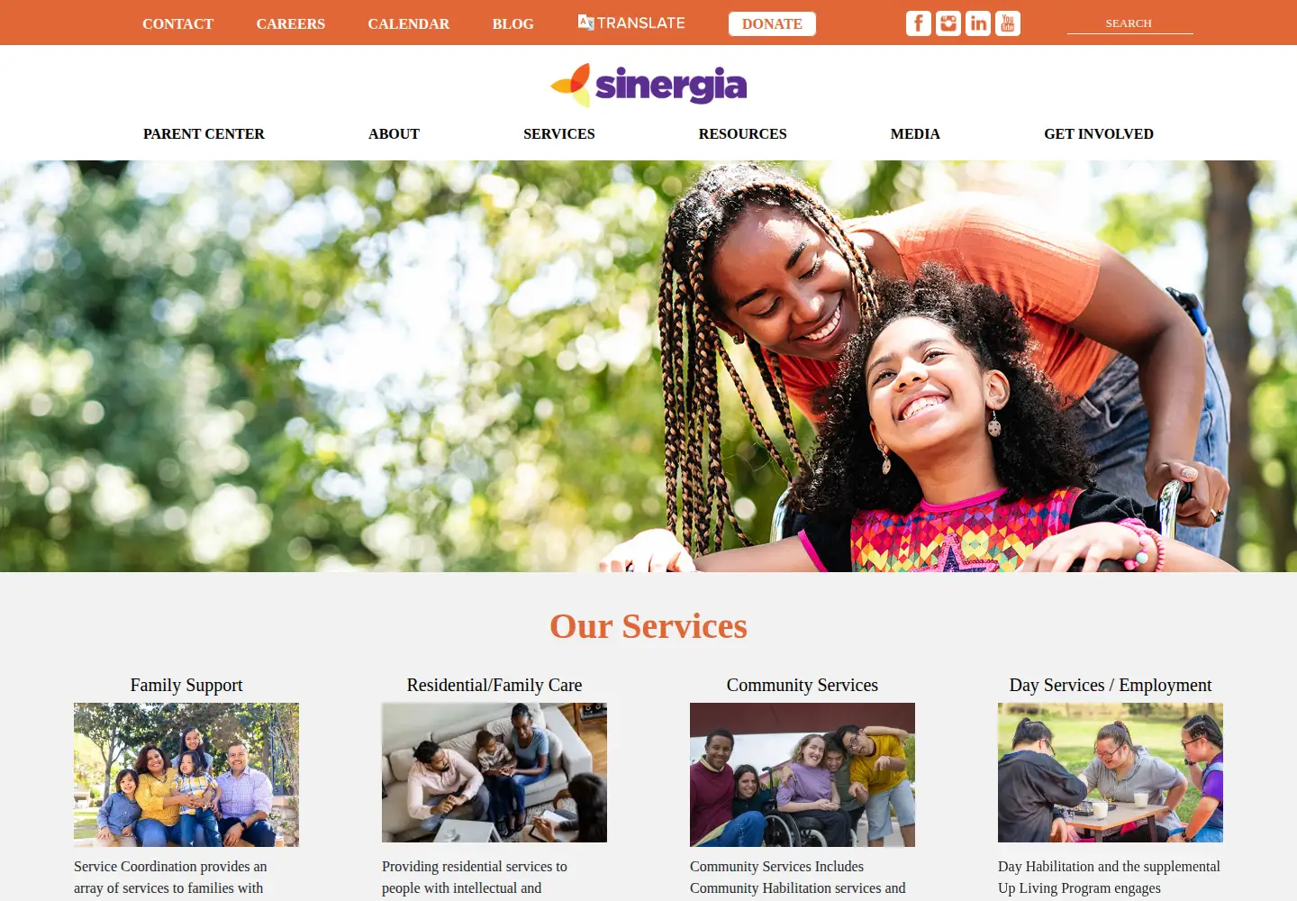 Captured homepage of sinergiany.org in the current scan