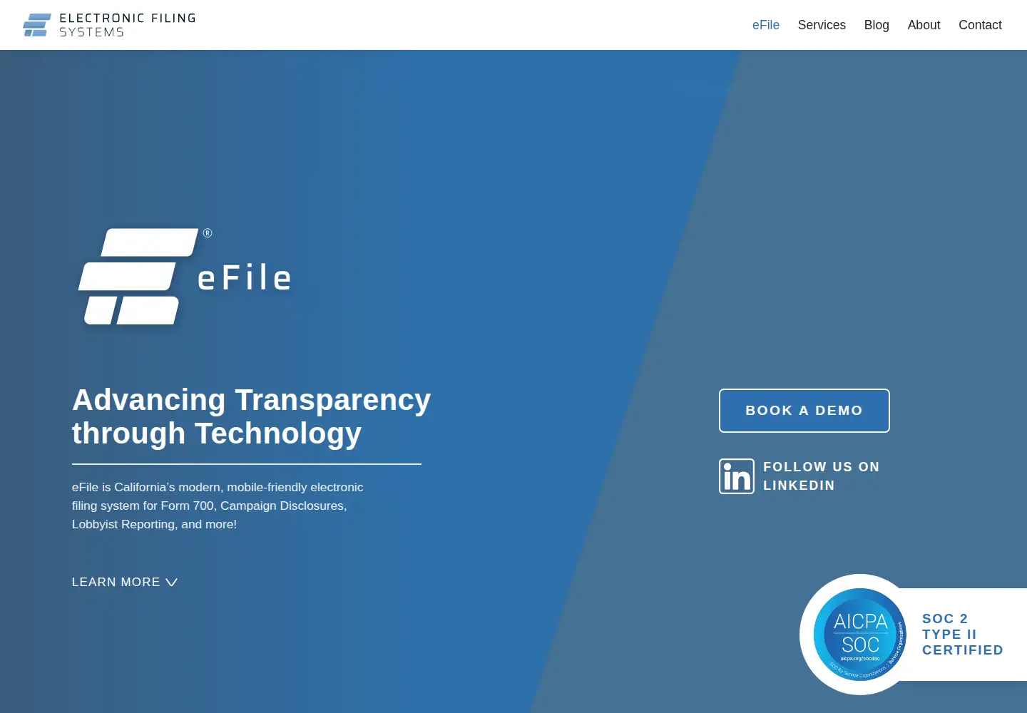 Captured homepage of efile.systems in the current scan