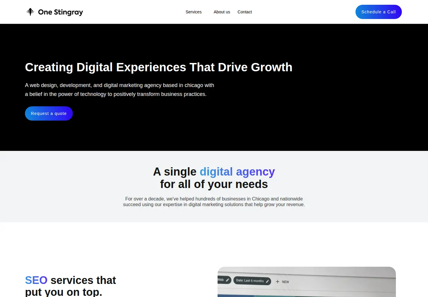 Captured homepage of onestingray.com in the current scan