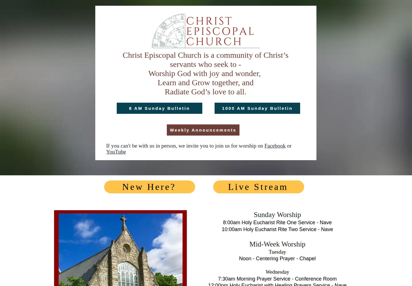 Captured homepage of cecbg.com in the current scan