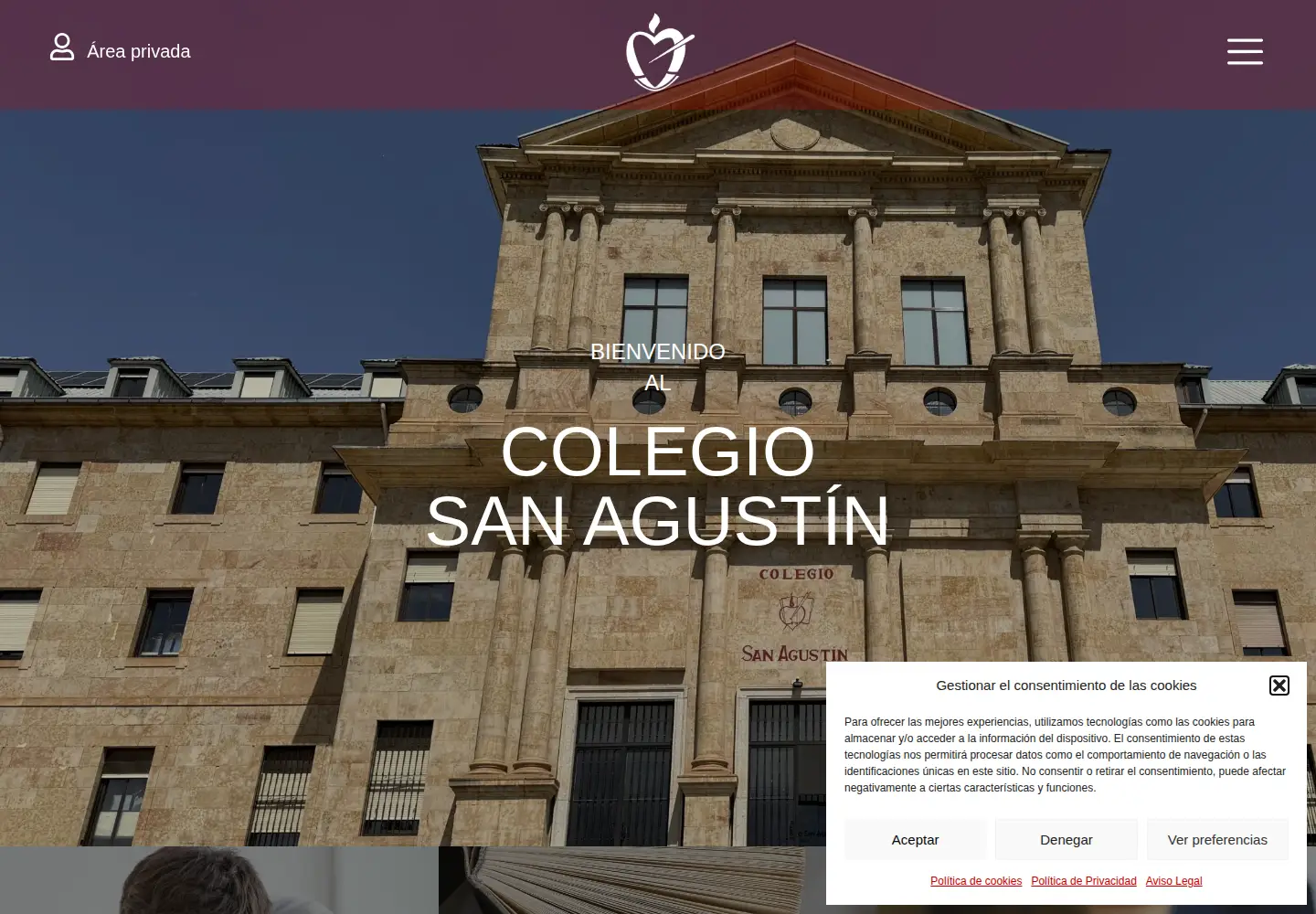 Screenshot of colegiosanagustin.com