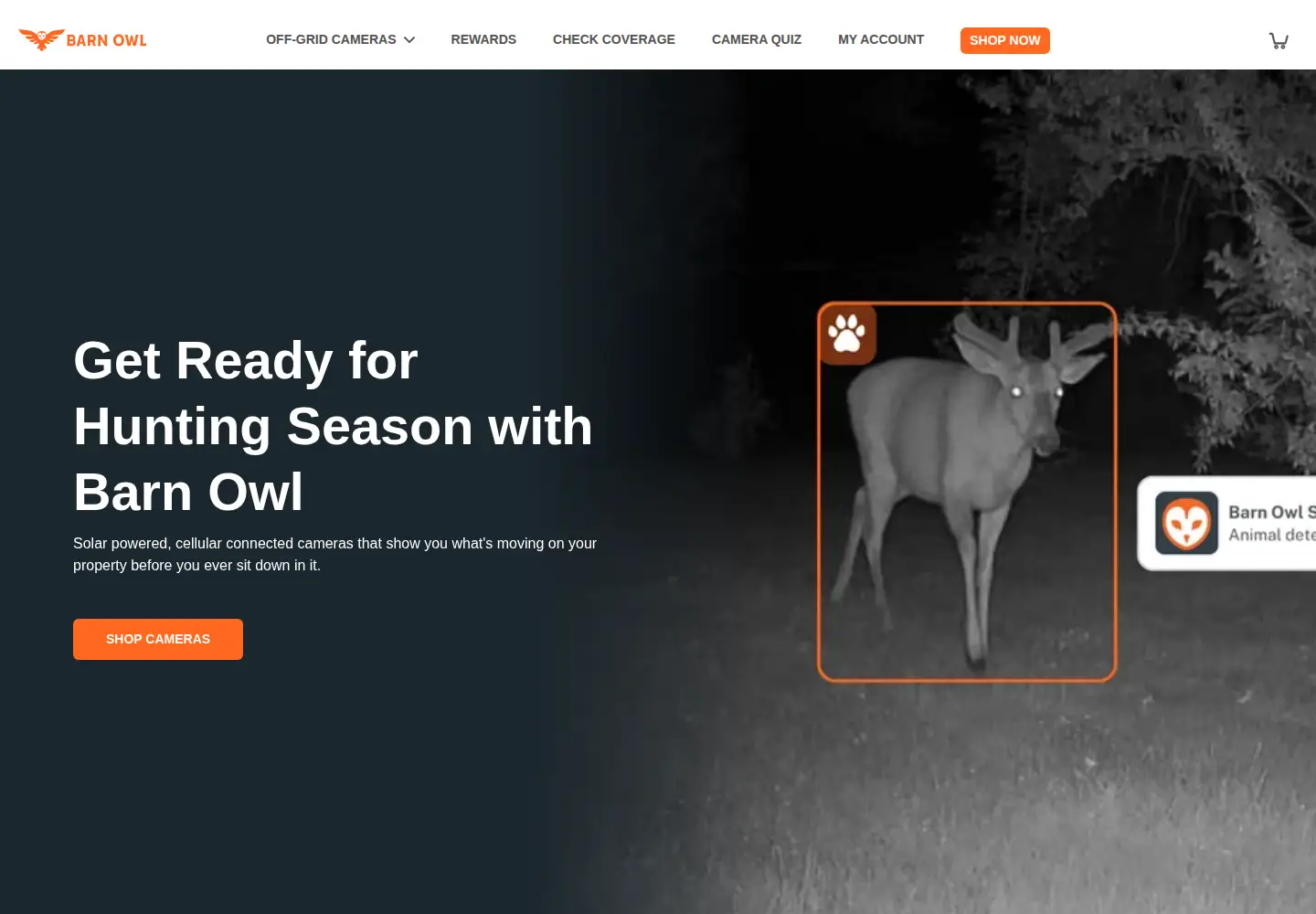 Screenshot of barnowl.tech