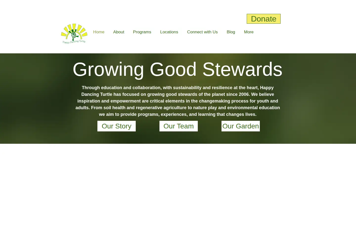 Captured homepage of happydancingturtle.org in the current scan