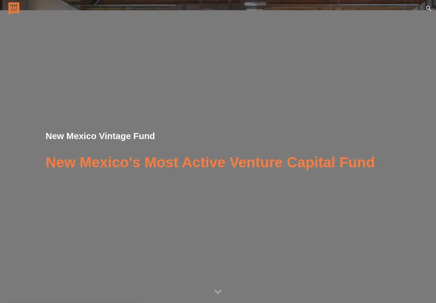 Screenshot of nmvintagefund.com