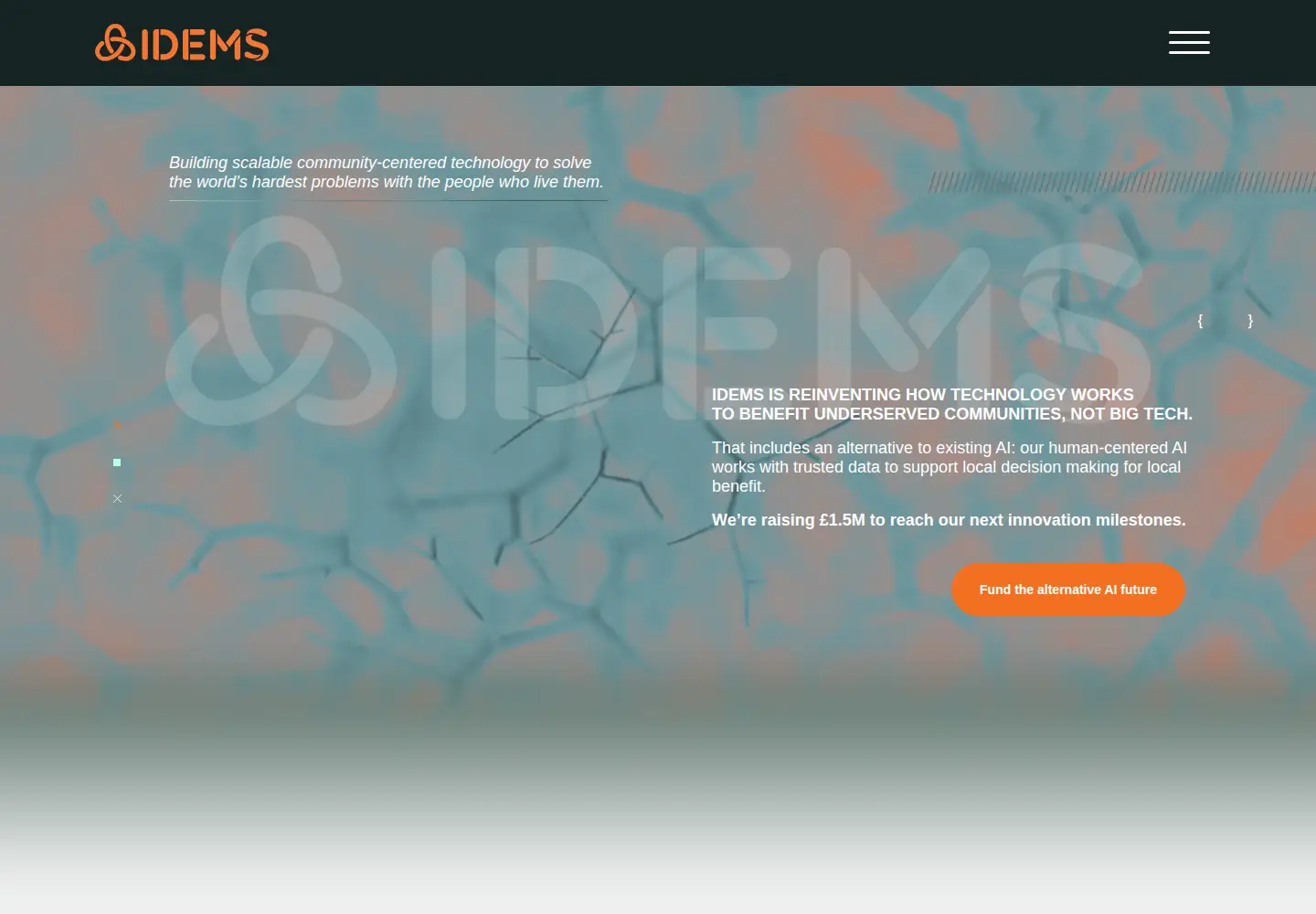 Captured homepage of idems.international in the current scan