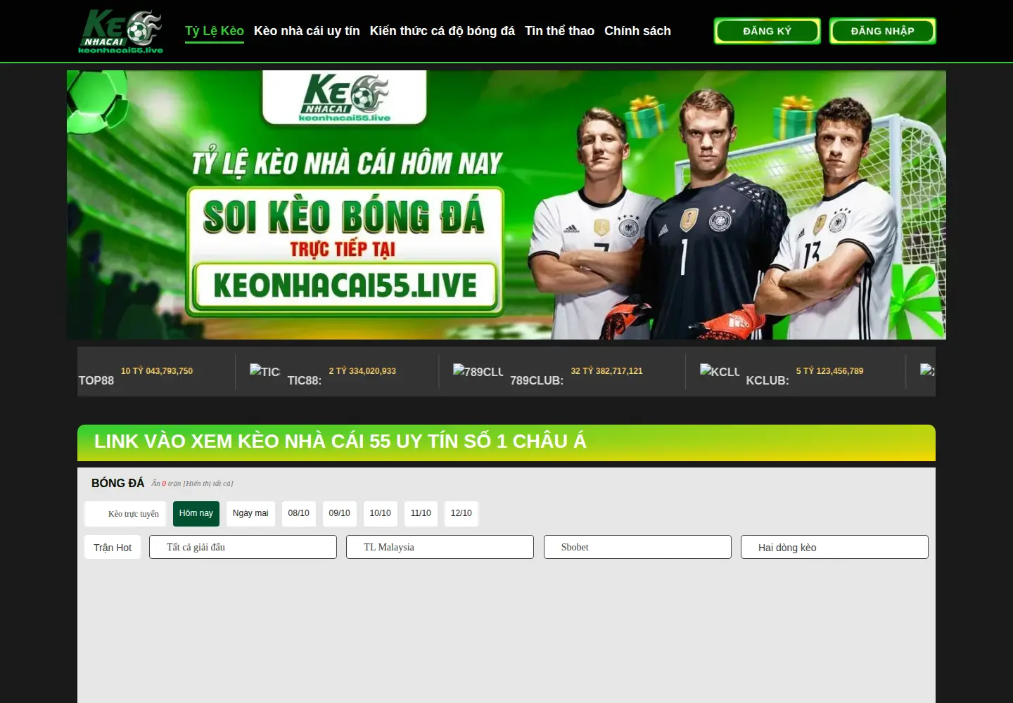 Screenshot of judicialnexua.com