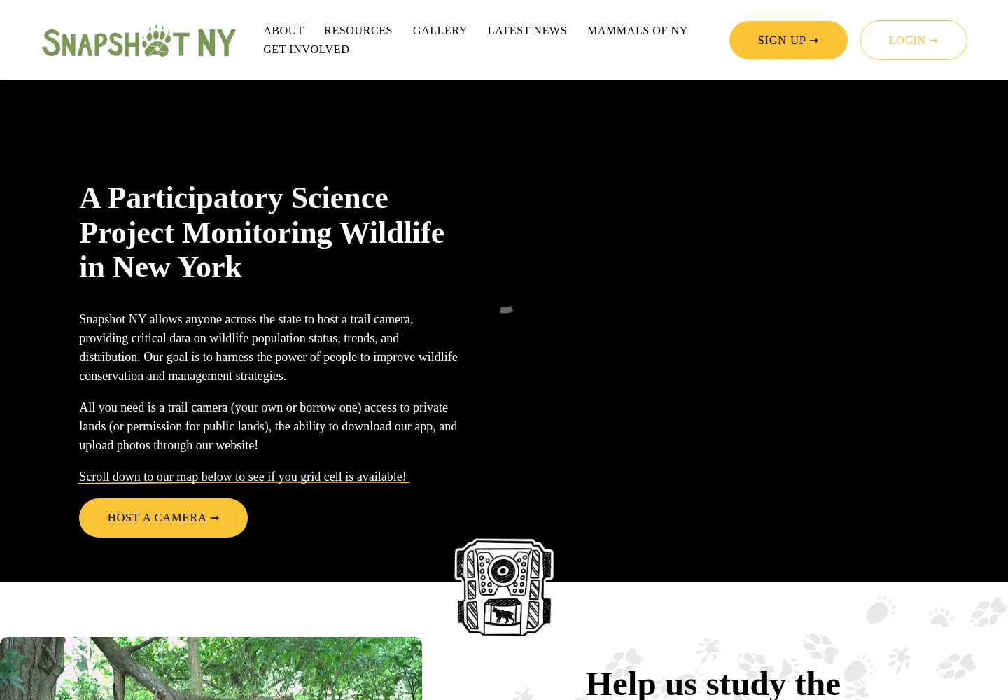 Captured homepage of snapshotny.org in the current scan