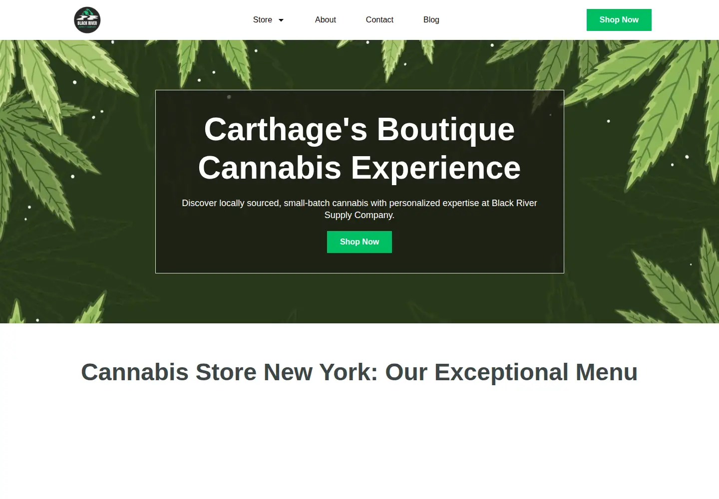 Captured homepage of blackriversupplyco.com in the current scan