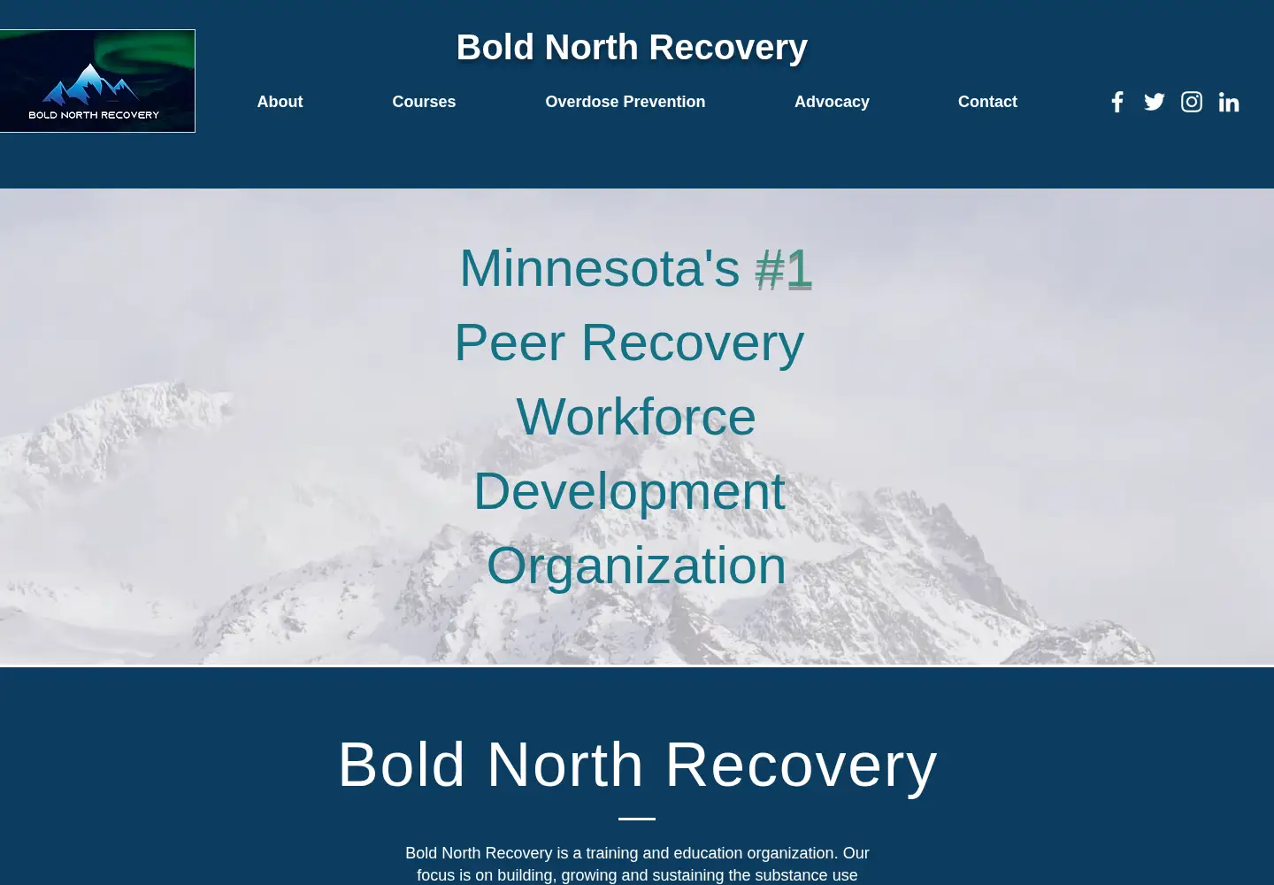 Captured homepage of boldnorthrecoveryandconsulting.com in the current scan