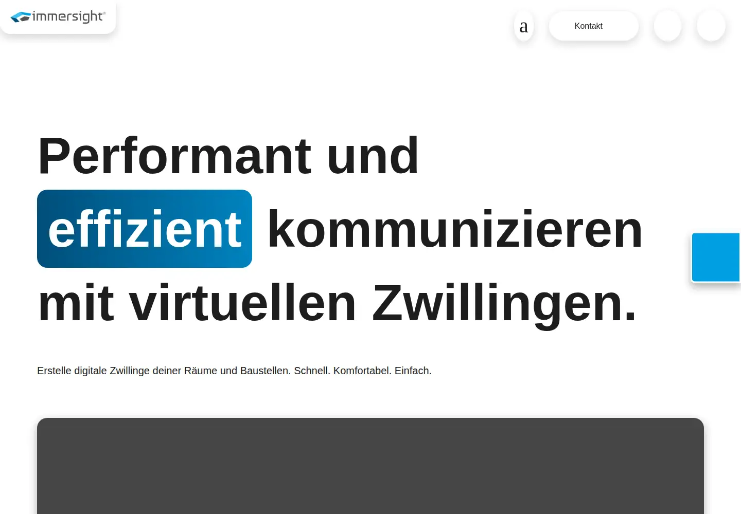 Captured homepage of immersight.com in the current scan