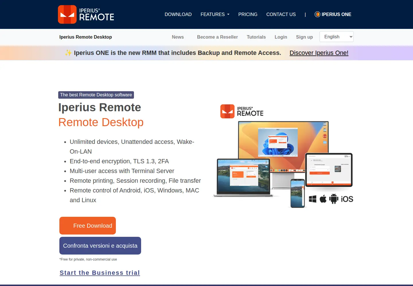 Captured homepage of iperiusremote.com in the current scan