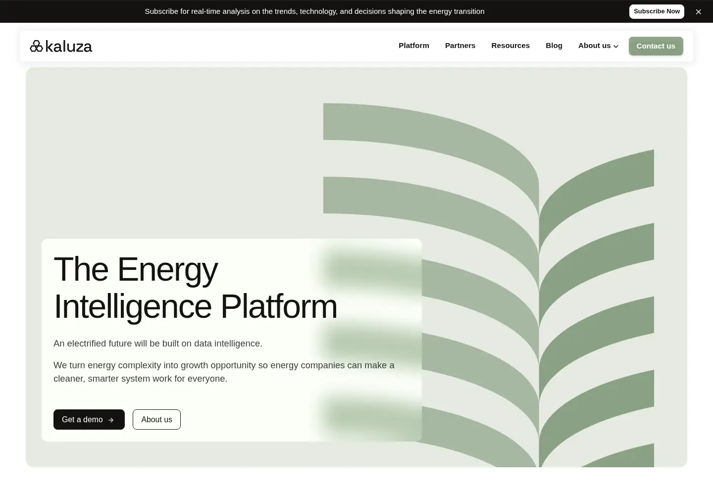 Screenshot of kaluza.com