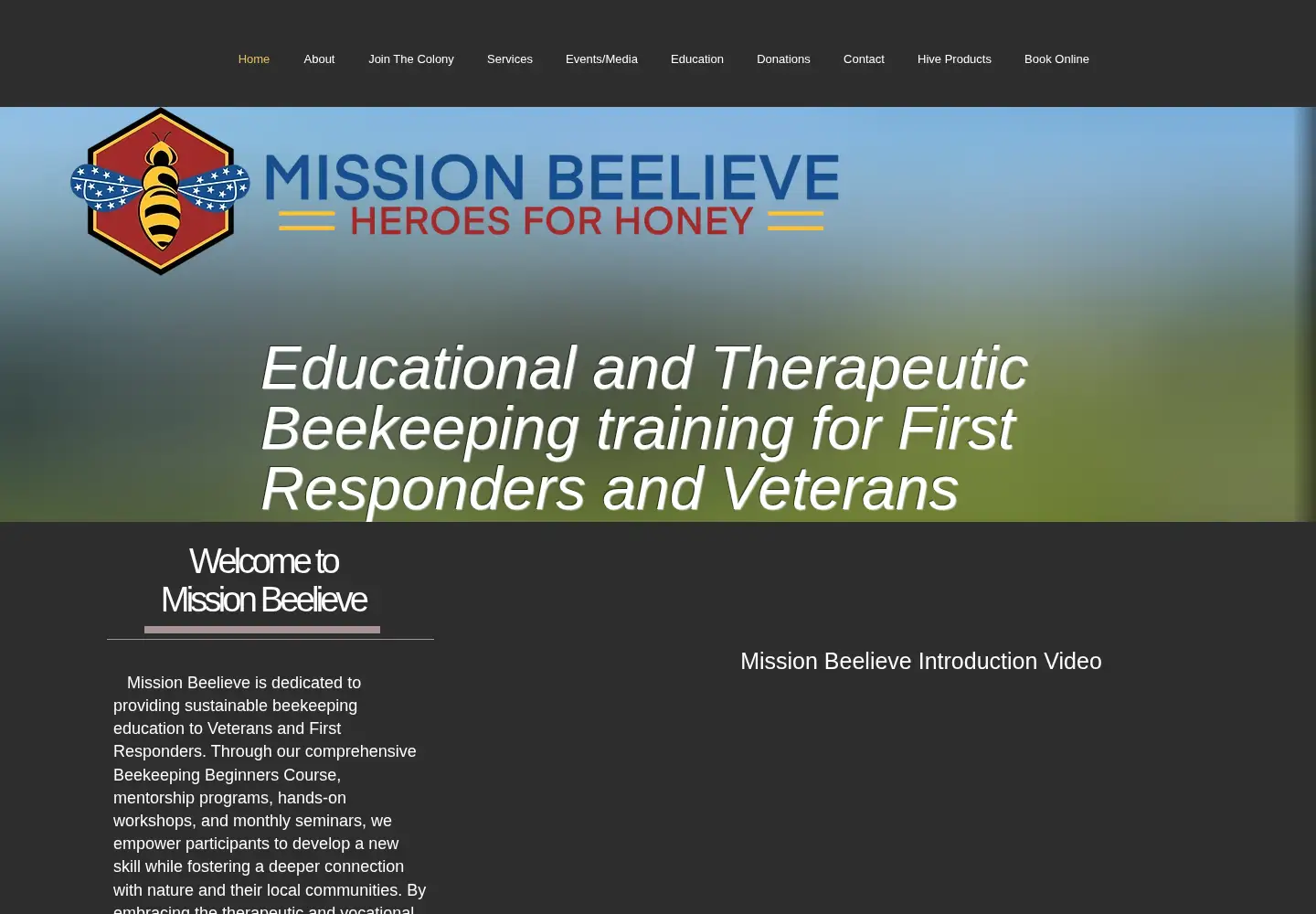Captured homepage of missionbeelieve.com in the current scan