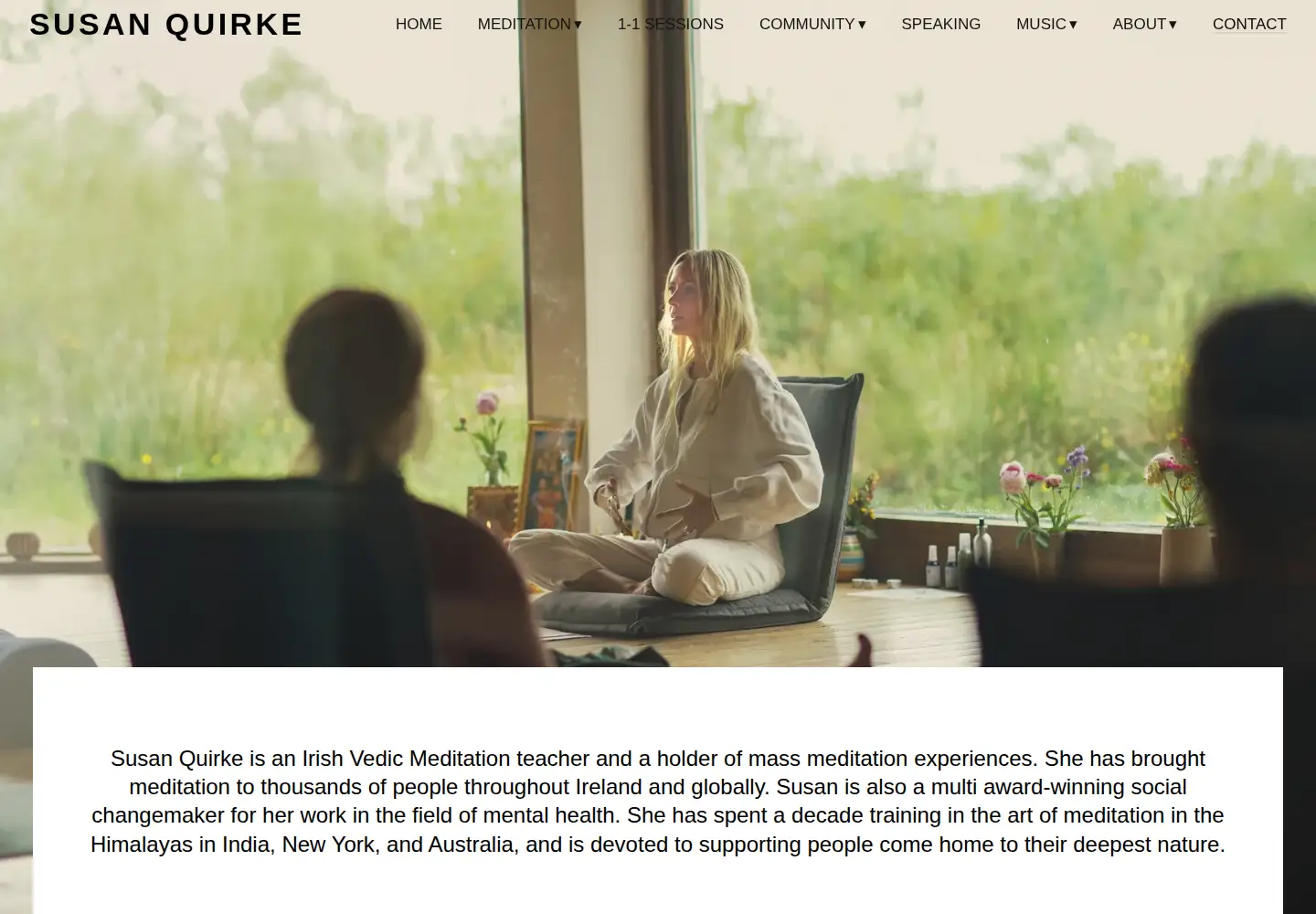 Screenshot of susanquirke.com