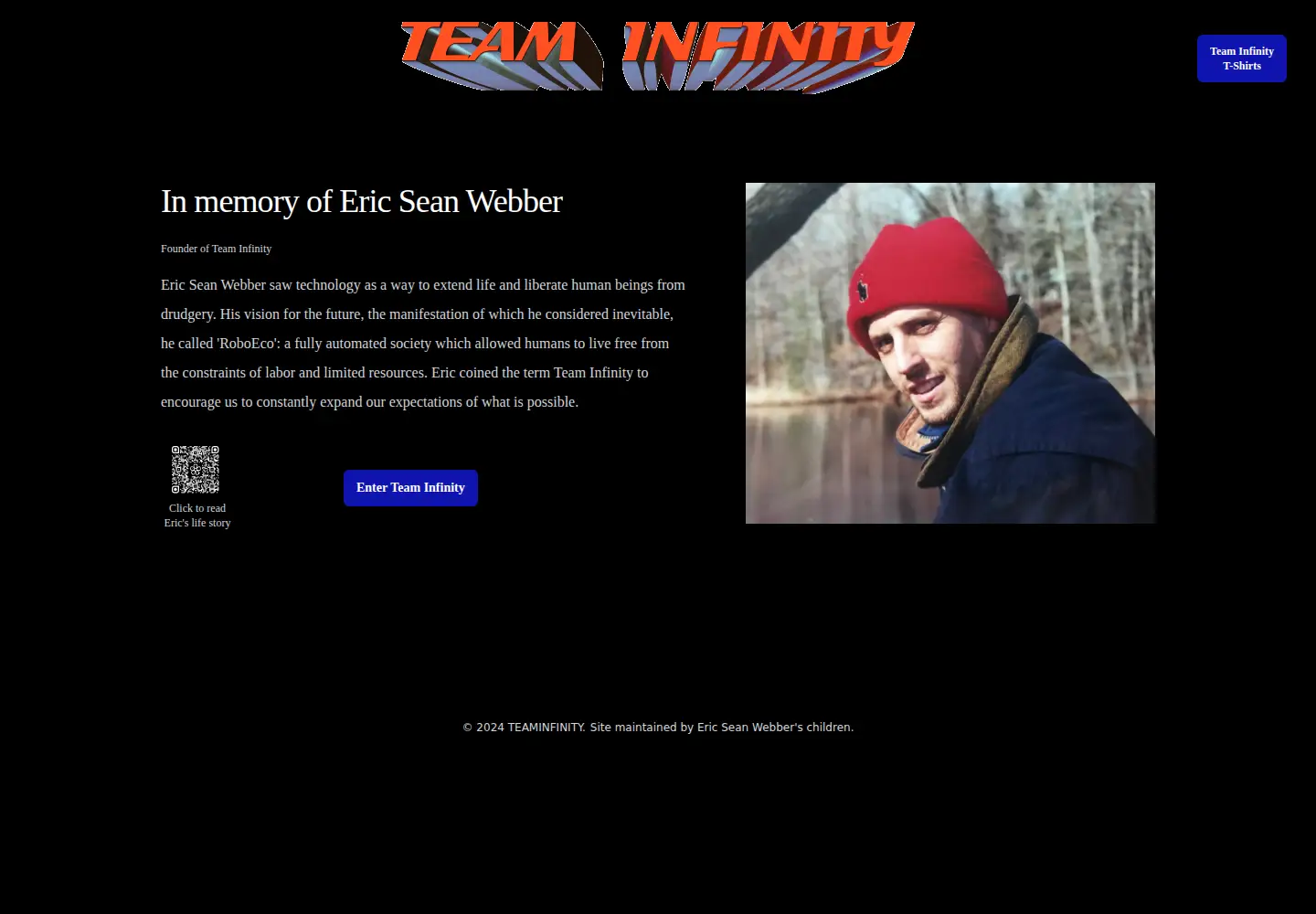 Screenshot of teaminfinity.com