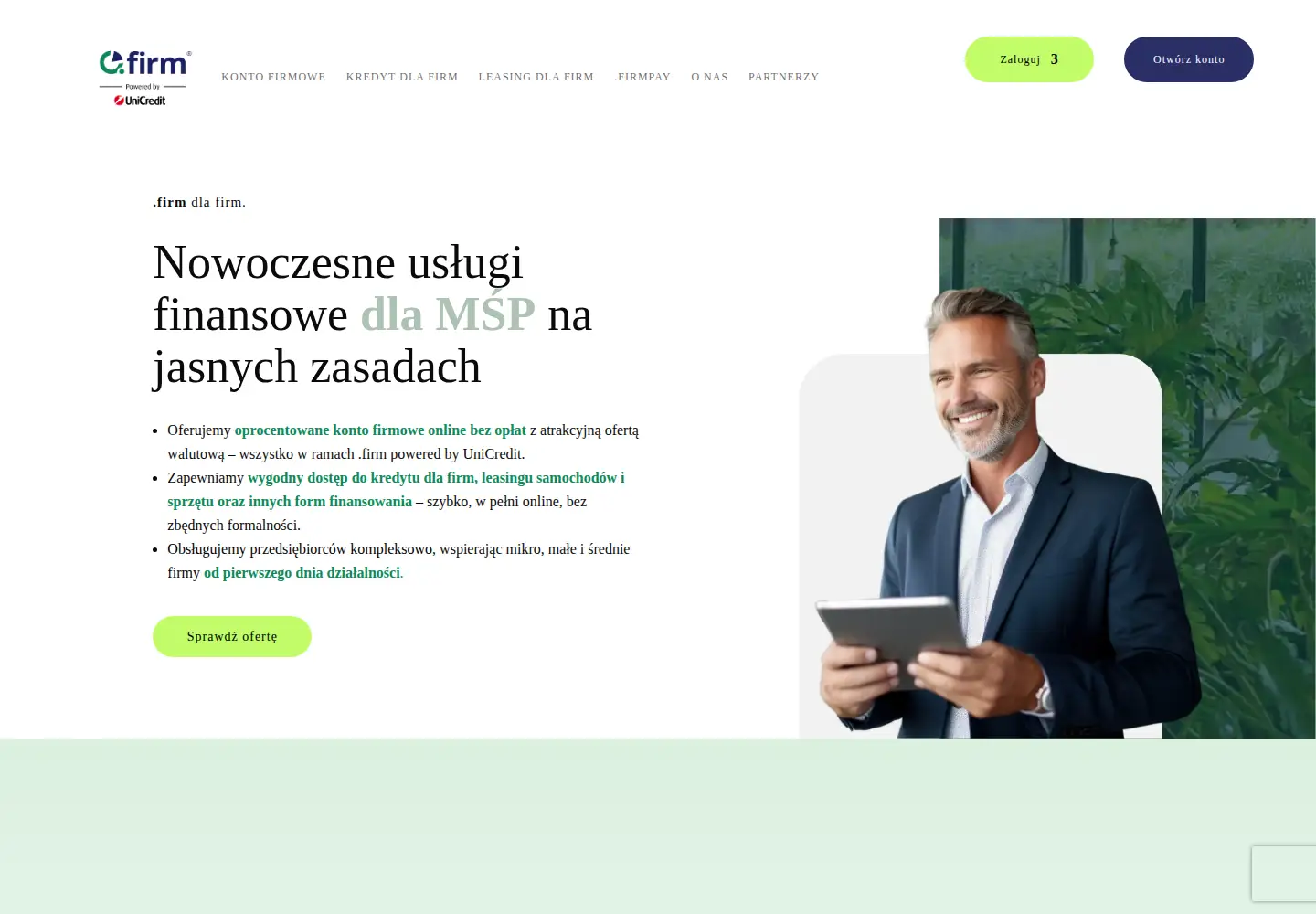 Screenshot of firm.pl