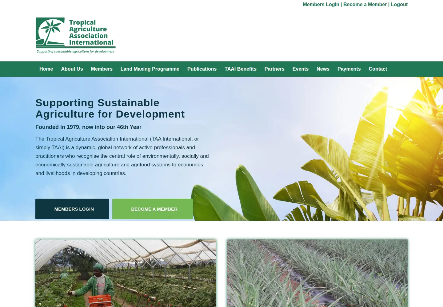 Screenshot of taa-international.org
