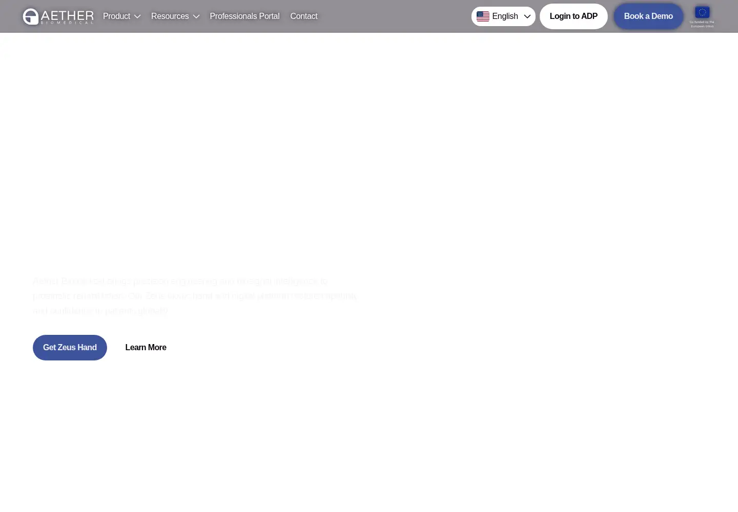 Captured homepage of aetherbiomedical.com in the current scan
