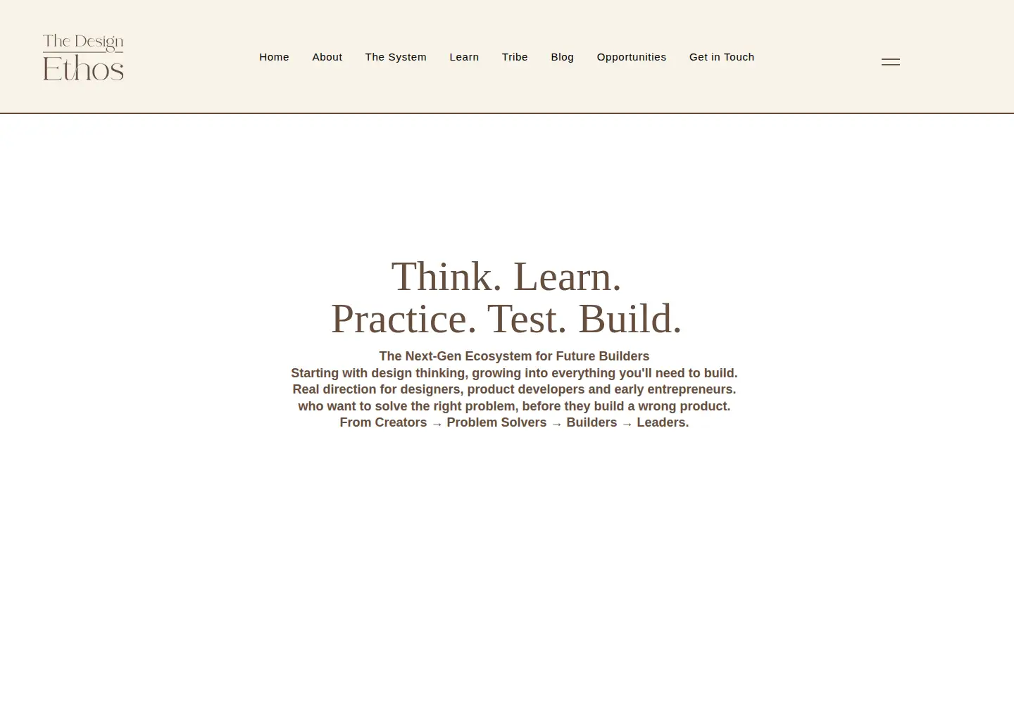 Captured homepage of thedesignethos.com in the current scan