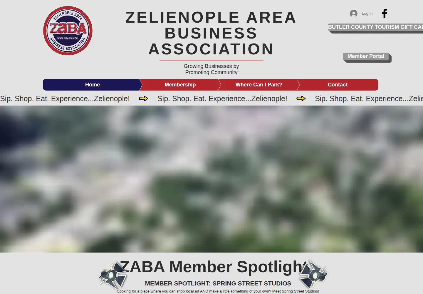 Captured homepage of gozelie.com in the current scan