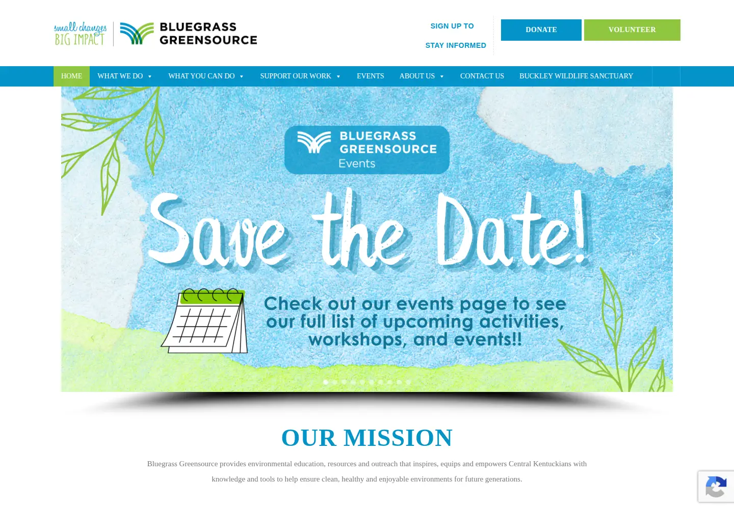 Captured homepage of bggreensource.org in the current scan