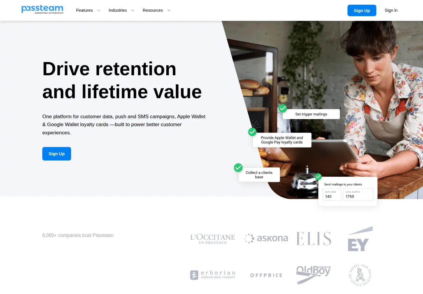 Captured homepage of passteam.io in the current scan