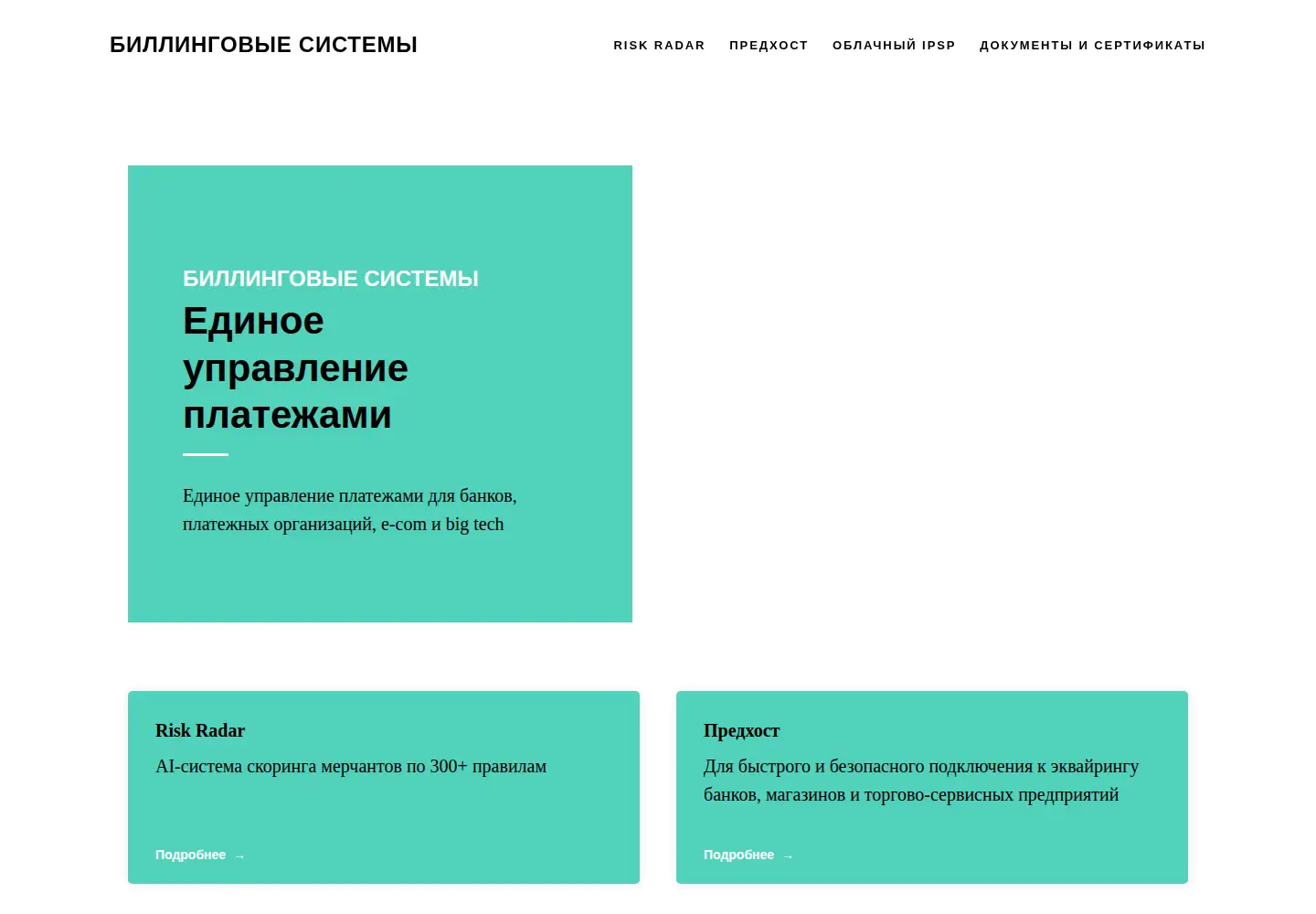 Captured homepage of bisys.ru in the current scan