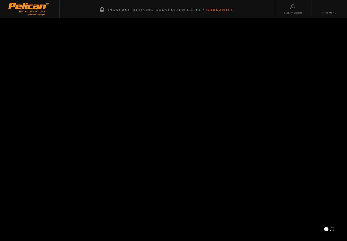 Screenshot of pelicansolution.com