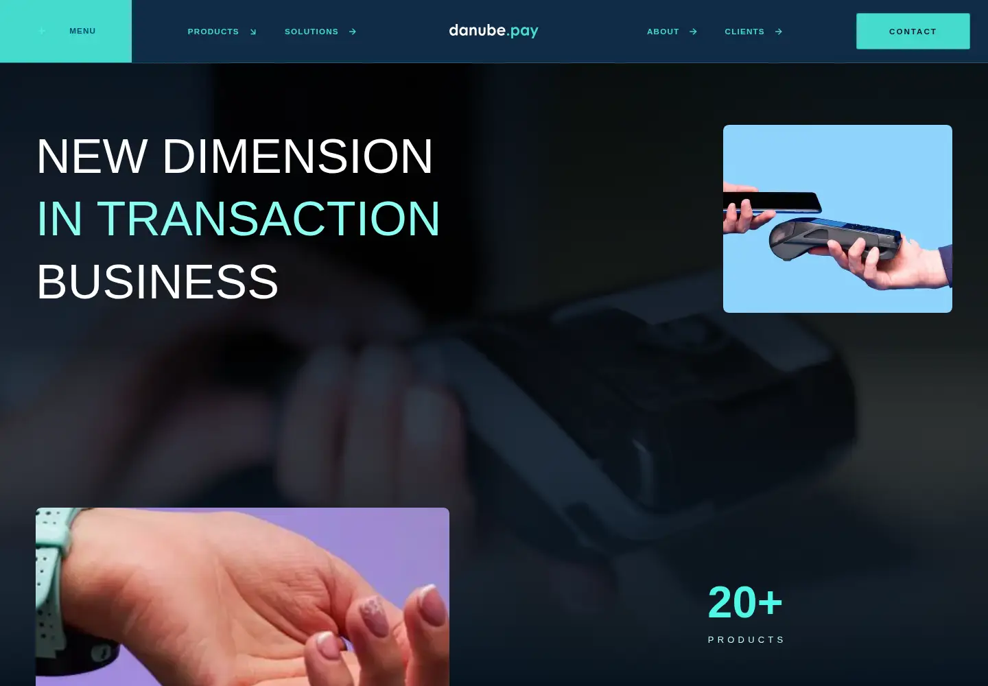 Screenshot of danubepay.com