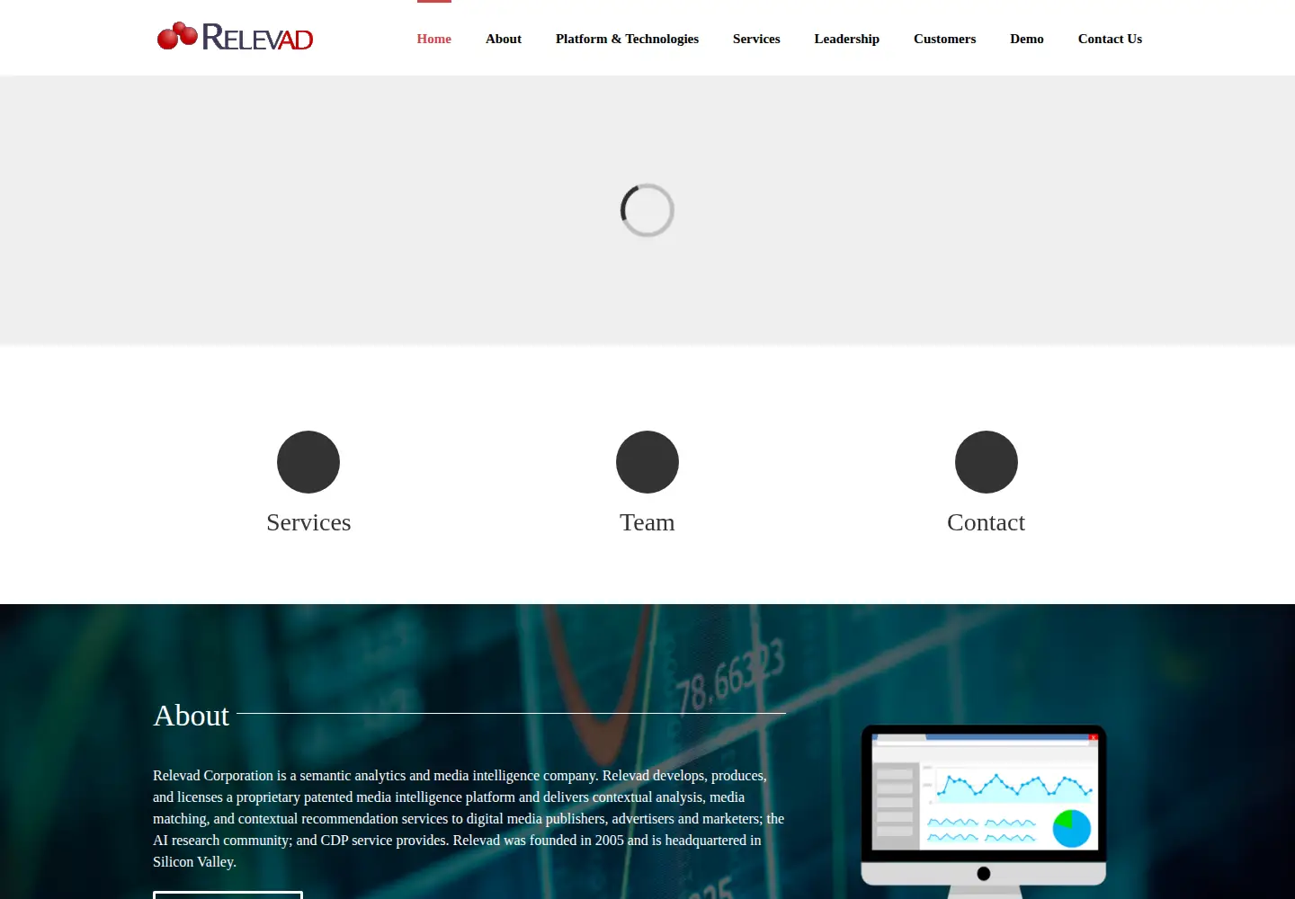 Captured homepage of relevad.com in the current scan