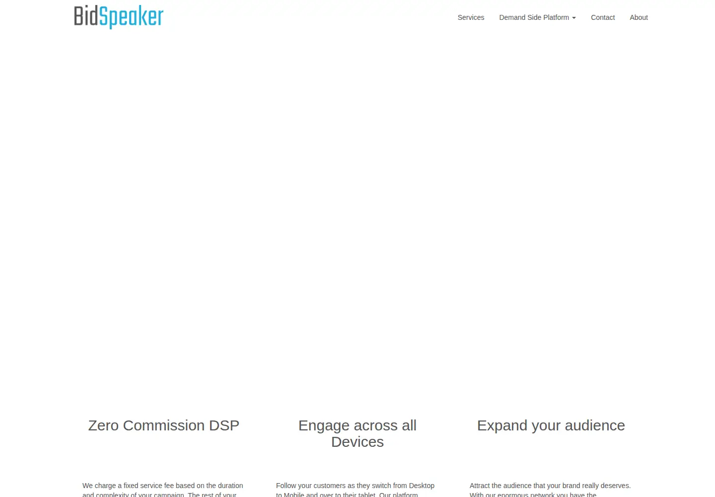 Captured homepage of bidspeaker.com in the current scan