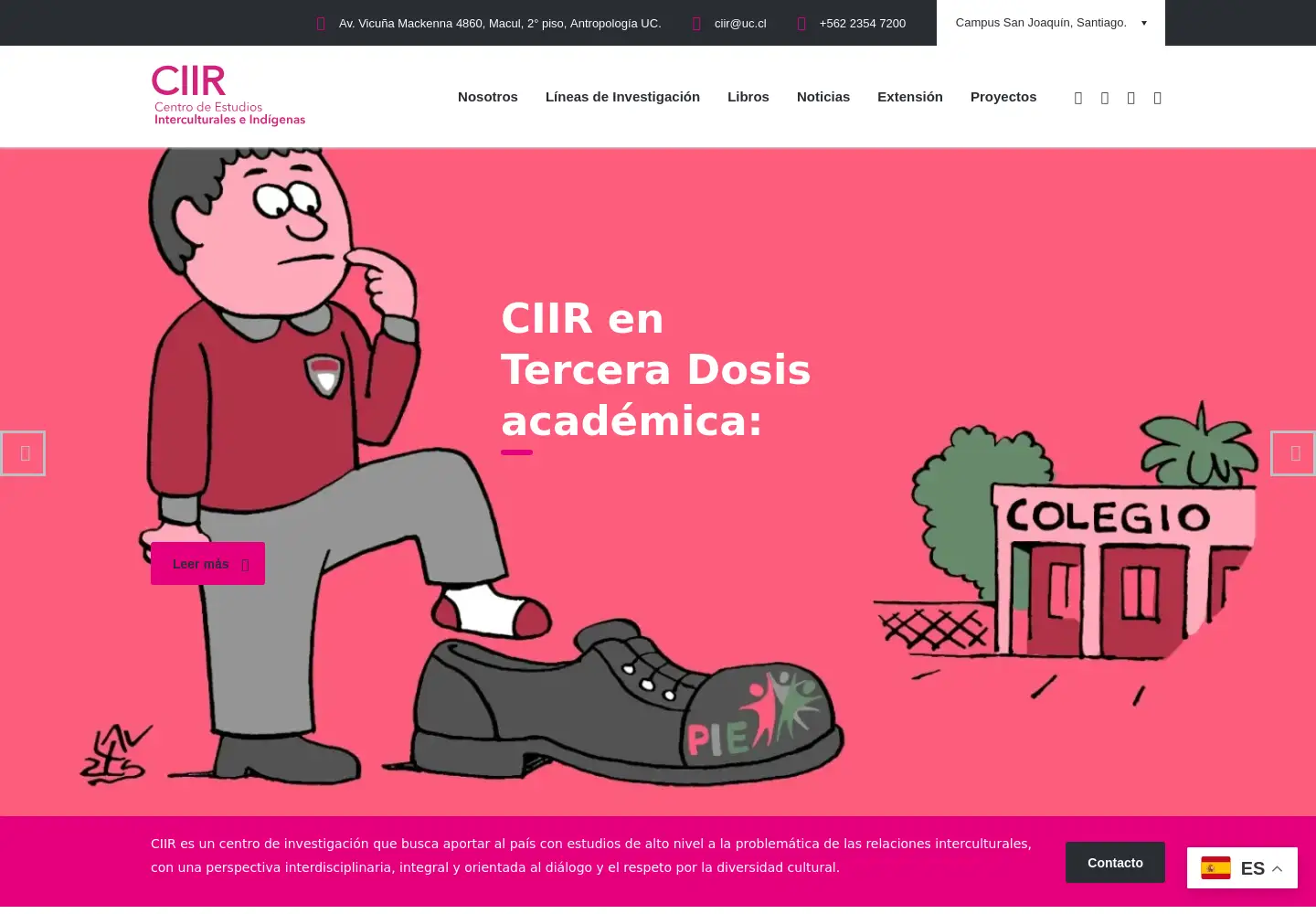 Captured homepage of ciir.cl in the current scan