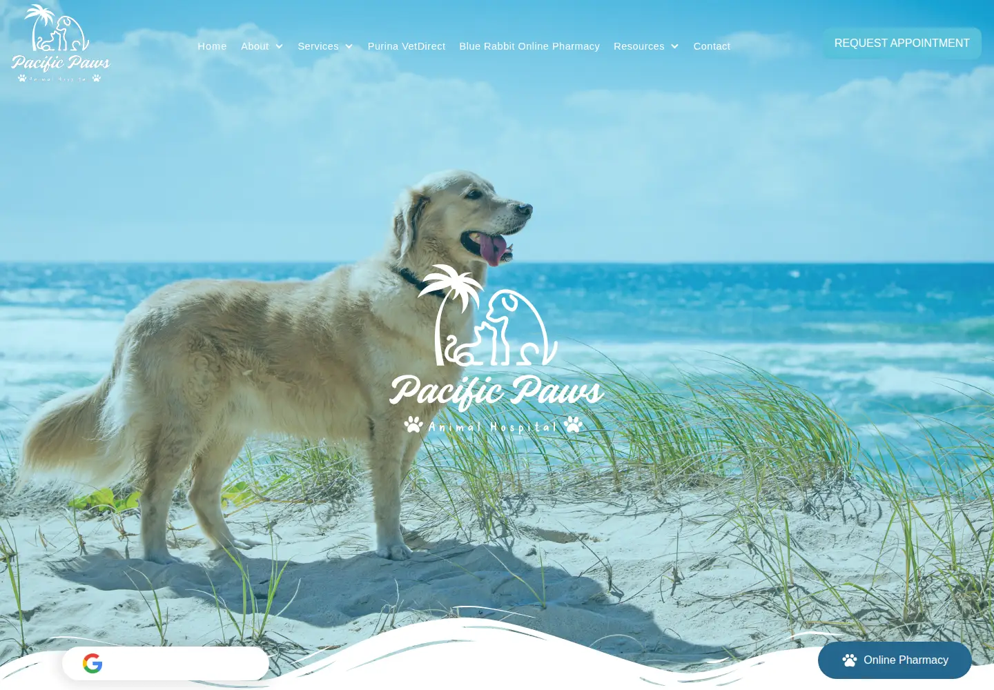 Captured homepage of pacificpaws.com in the current scan