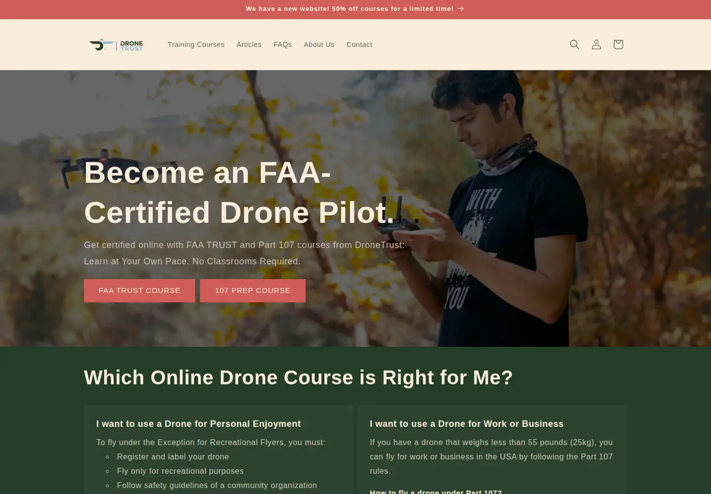 Captured homepage of dronetrust.com in the current scan